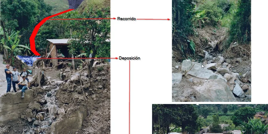 Illustrative image of Flujos detritos in Auckland